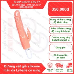 Dương Vật Giả 1 Pin
