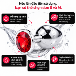 Phích Cắm Hậu Môn Kim Loại Đá Tròn 2